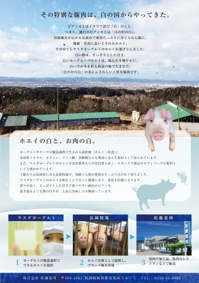 純白のビアンカ 商品特徴説明